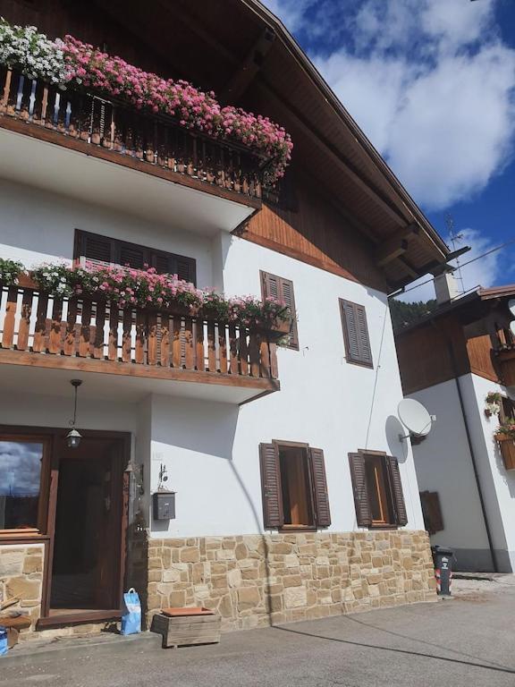 Casa Phoenix Appartamento Piano Terra Immerso Nel Verde A Pochi Minuti Dalla Ciclabile Пьеве-ди-Кадоре Экстерьер фото
