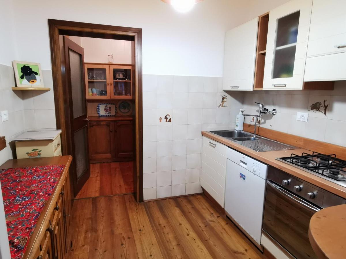 Casa Phoenix Appartamento Piano Terra Immerso Nel Verde A Pochi Minuti Dalla Ciclabile Пьеве-ди-Кадоре Экстерьер фото